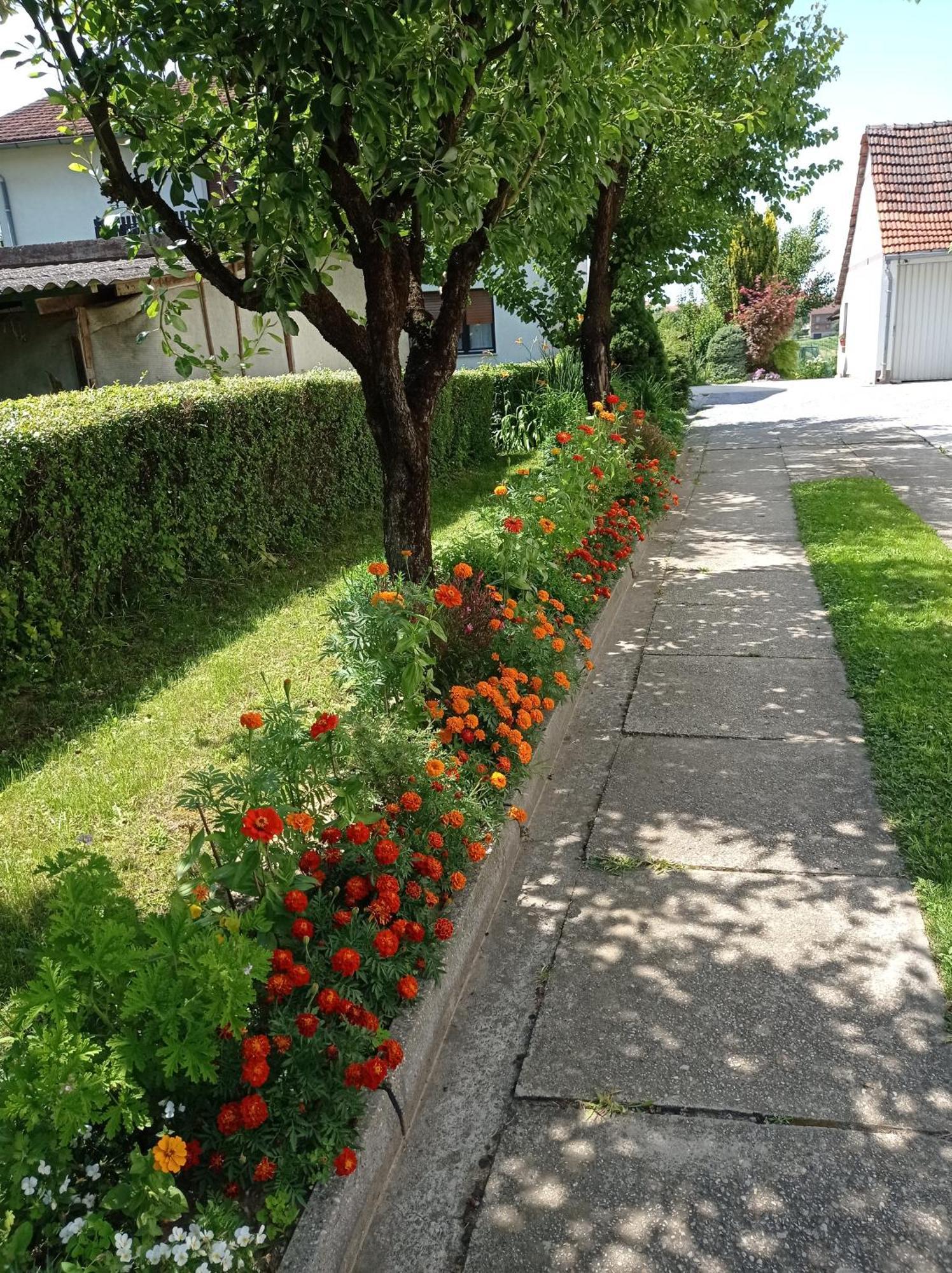 Apartman Skudar Bjelovar Exterior photo